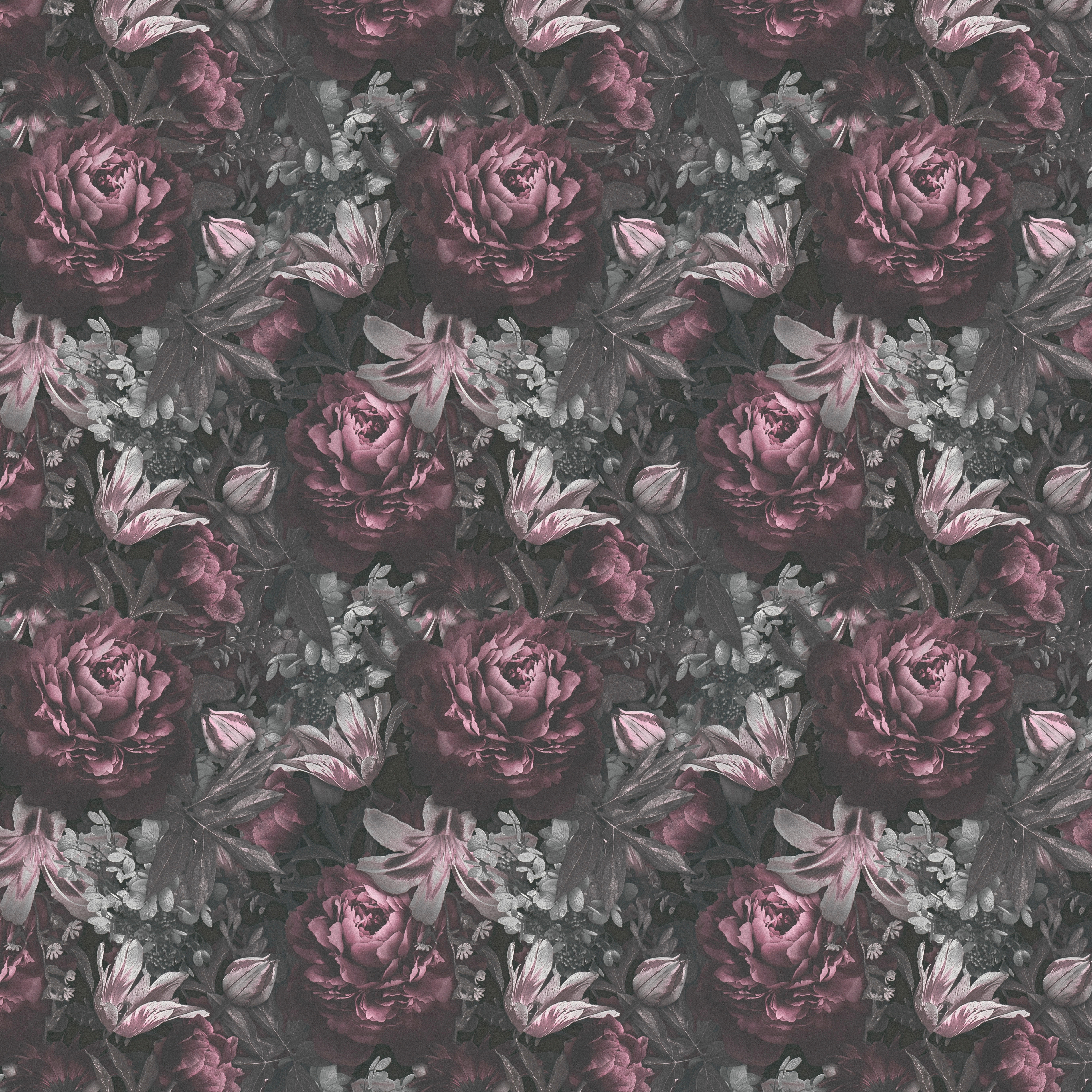 Vliestapete Rosen schwarz rosa grau B/L: ca. 53x1005 cm Vliestapete_38509-3 - schwarz/rosa (53,00/1005,00cm)