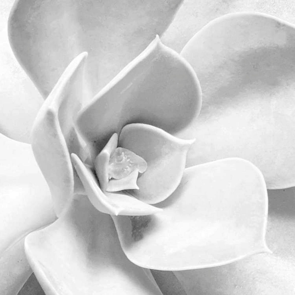 Komar Fototapete Shades Black and White B/L: ca. 400x250 cm Shades Black and White - (400,00/250,00cm) - Komar