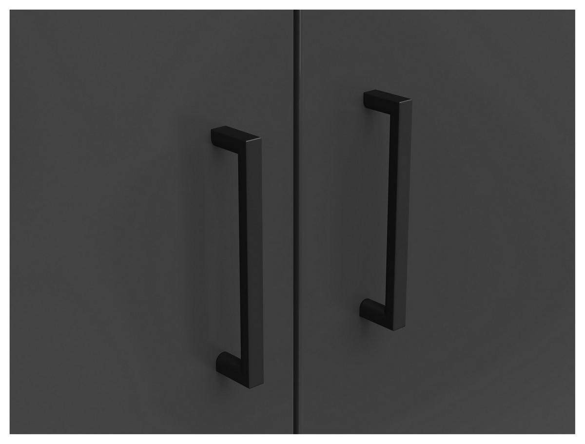 Schrank Multi-Stauraum Typ 38 anthrazit B/H/T: ca. 80x195x40 cm Multi-Stauraum Typ 38 - anthrazit (80,00/195,00/40,00cm)