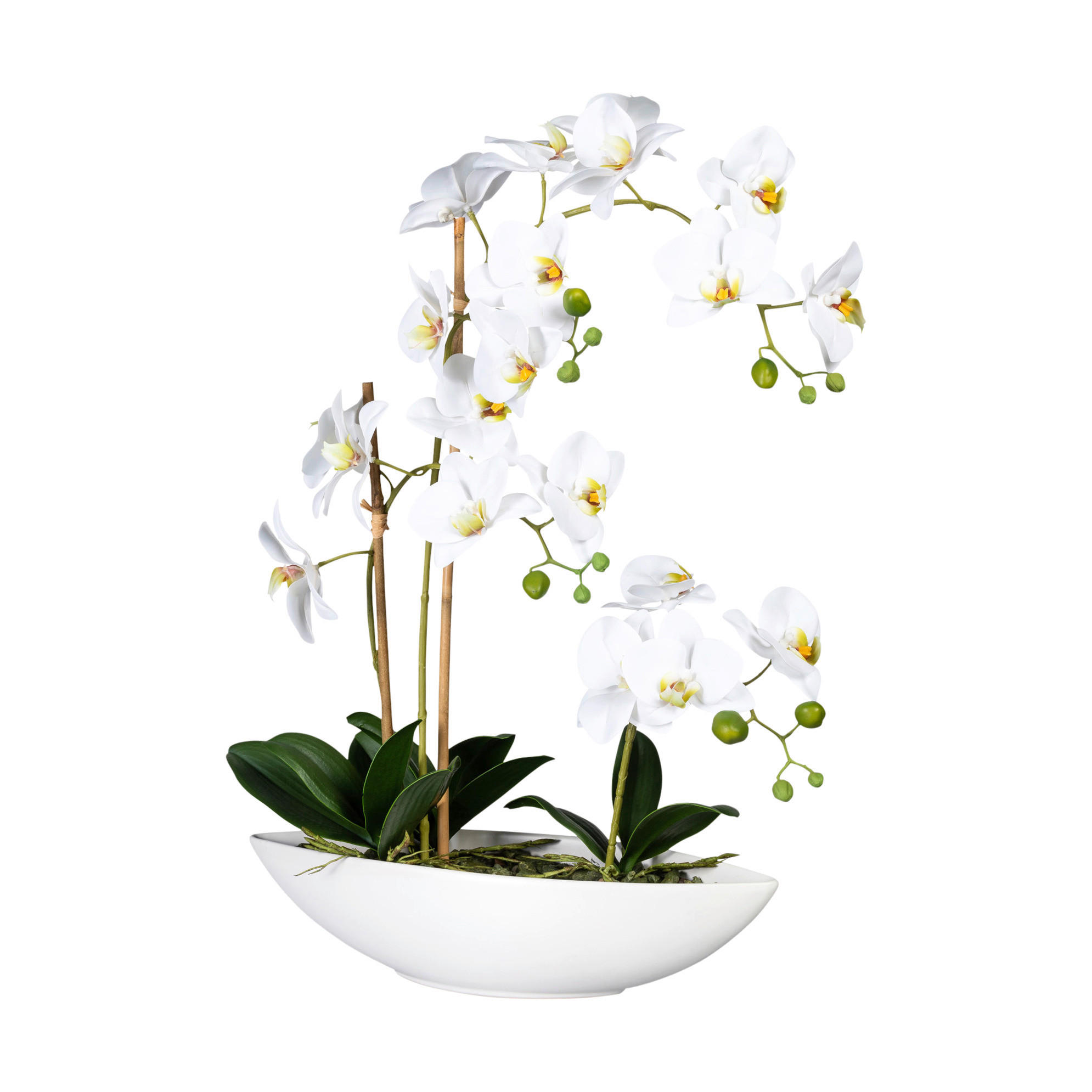 Kunstpflanze Phalaenopsis weiß Kunststoff B/H/L: ca. 40,5x52x14,5 cm Phalaenopsis - weiß (14,50/40,50/52,00cm)