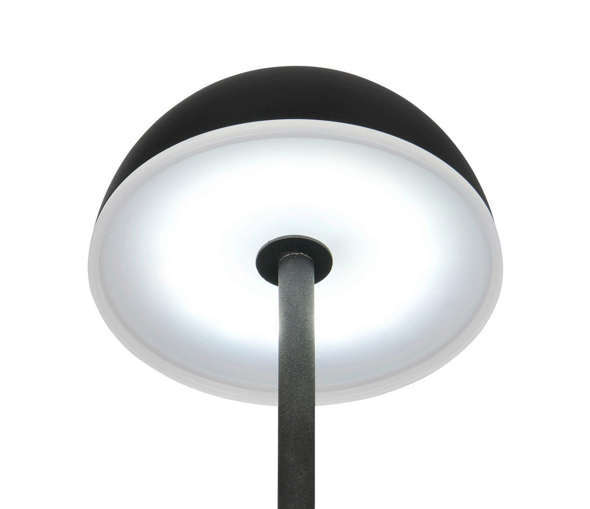 Reality Leuchten LED-Tischleuchte schwarz Kunststoff B/L: ca. 11x28,3 cm LED-Tischleuchte_Tembo - schwarz (11,00/28,30cm) - Reality Leuchten