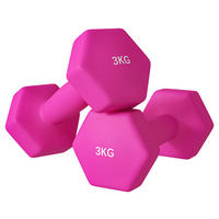 SPORTNOW Kurzhantel rosa Metall B/H/L: ca. 8x8x18 cm Kurzhantel - rosa (18,00/8,00/8,00cm) - SPORTNOW
