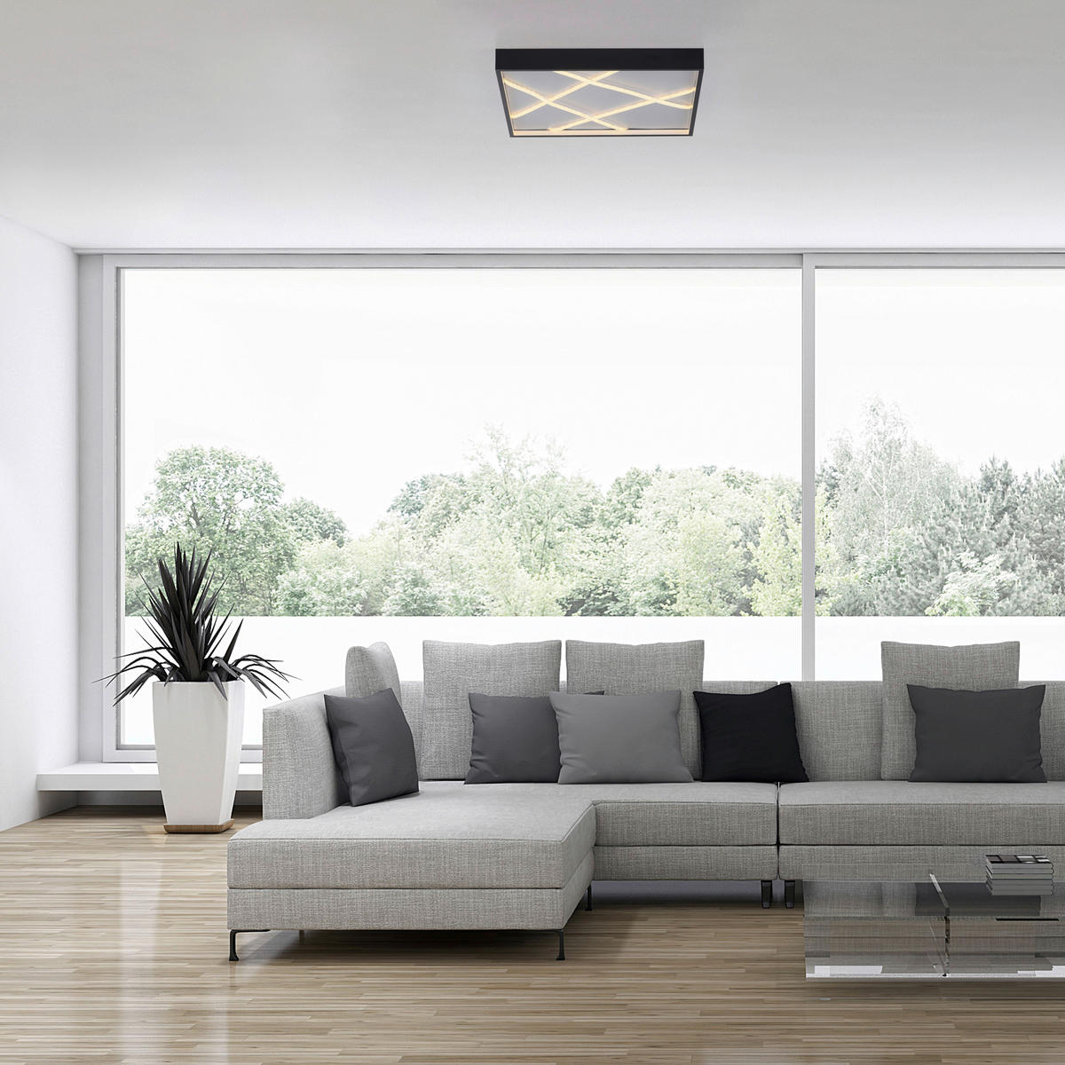 Just Light LED-Deckenleuchte schwarz B/H/L: ca. 50x5,3x50 cm LED-Deckenleuchte_Mikado - schwarz (50,00/50,00/5,30cm) - Just Light
