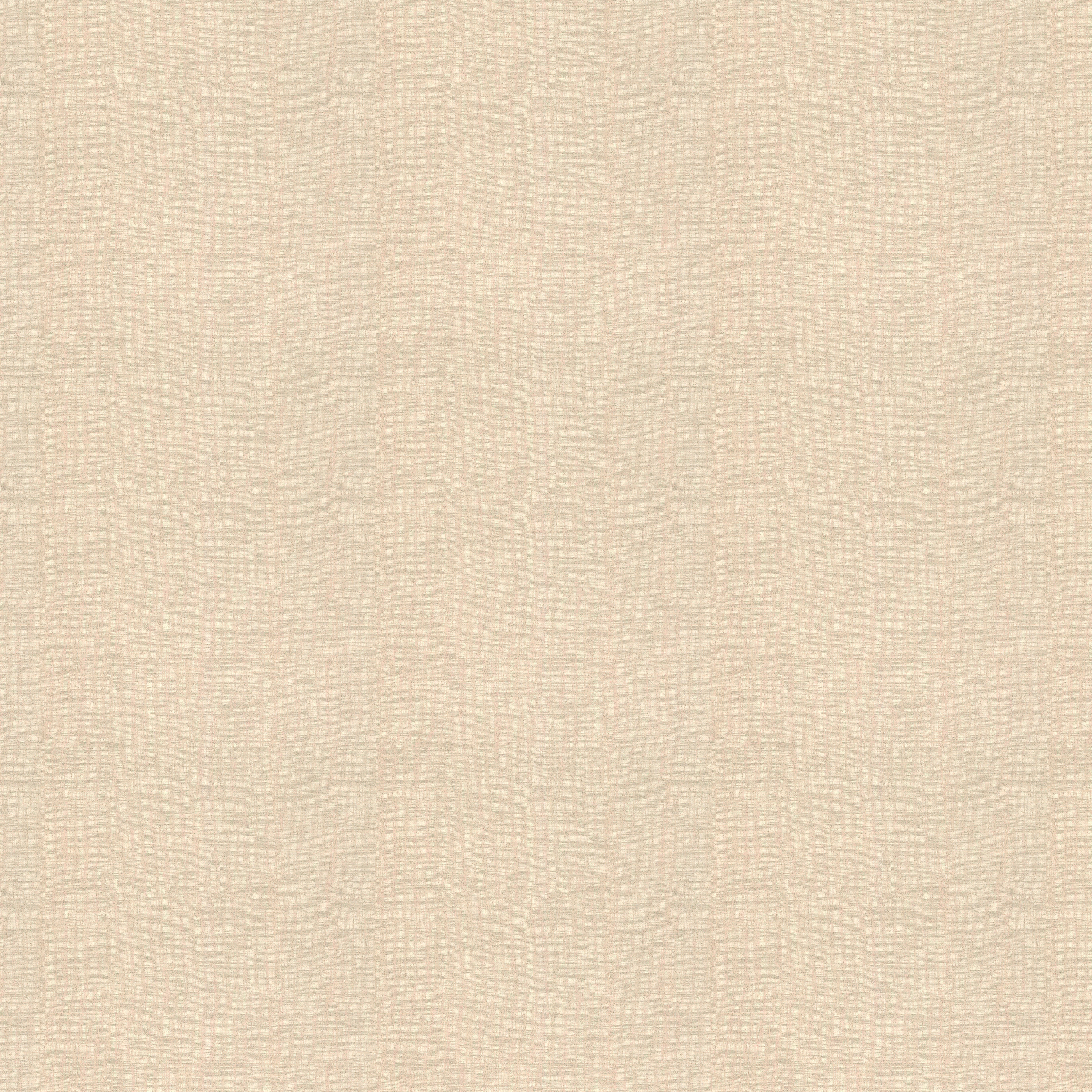 Thumbnail - Rasch Vliestapete Schimmer beige B/L: ca. 53x1005 cm