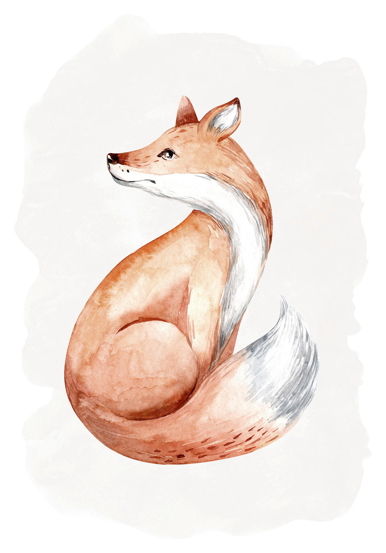 Komar Wandbild Curious Fox Tiere B/L: ca. 40x50 cm