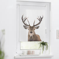 Rollo Hirsch braun B/L: ca. 60x150 cm Hirsch - braun (60,00/150,00cm) - LICHTBLICK