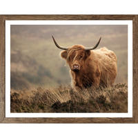Gerahmtes Bild Tiere B/H: ca. 50x40 cm Bild_Cheb 40x50cm - (50,00/40,00cm)