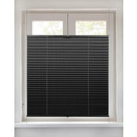 Spannplissee schwarz B/L: ca. 60x210 cm Plissee-uni_TL - schwarz (60,00/210,00cm) - Boviva