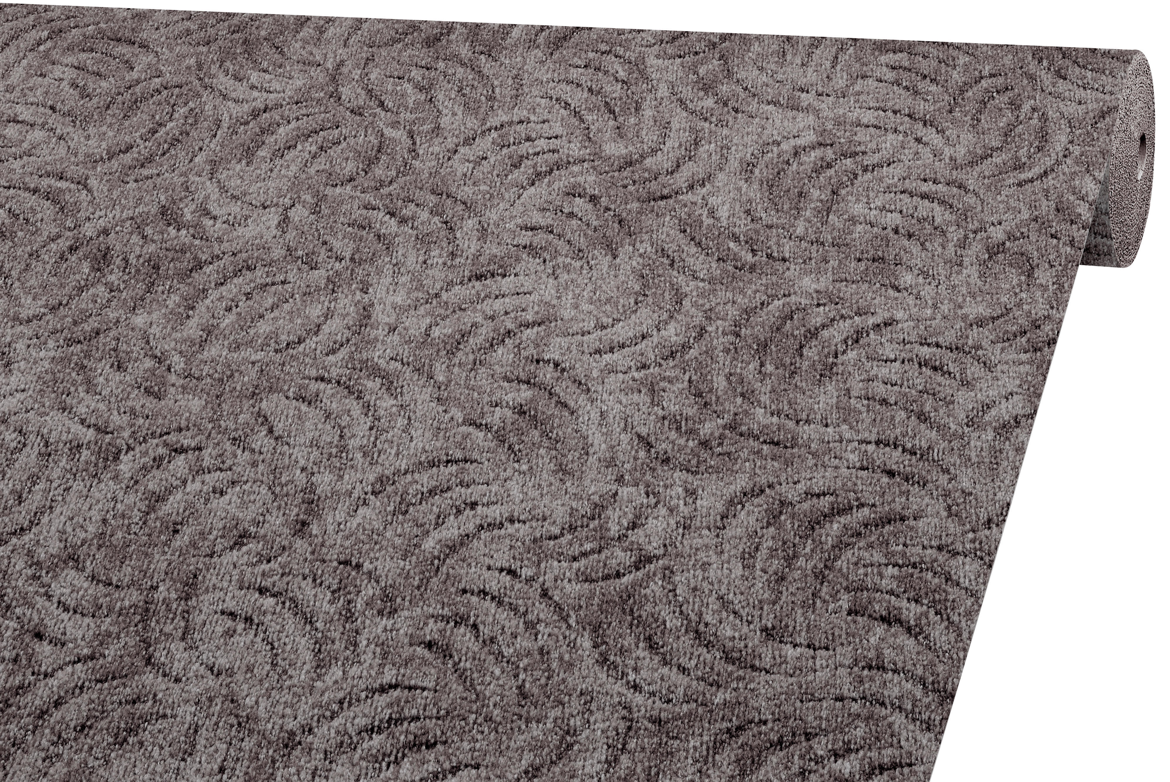 Teppichboden Milano anthrazit B: ca. 400 cm pro m² Milano - anthrazit (400,00cm)