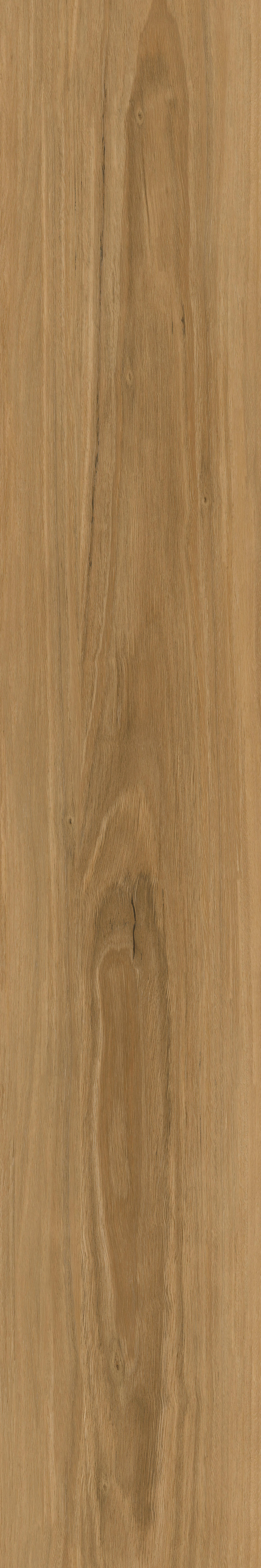 Vinylplanke Natural Oak, ca. 1,115 m² im Paket B/L: ca. 15,24x91,44 cm Natural Oak, ca. 1,115 m² im Paket - Eiche (15,24/91,44cm)