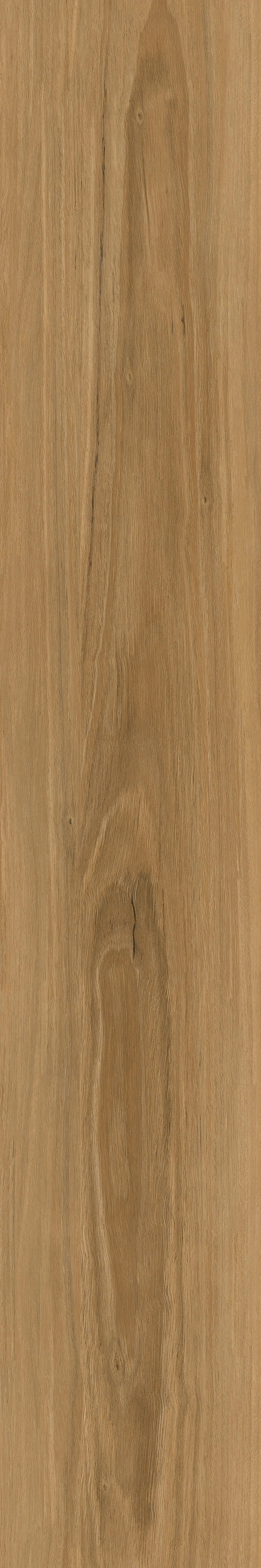 Vinylplanke Natural Oak, ca. 1,115 m² im Paket Eiche B/L: ca. 15,24x91,44 cm