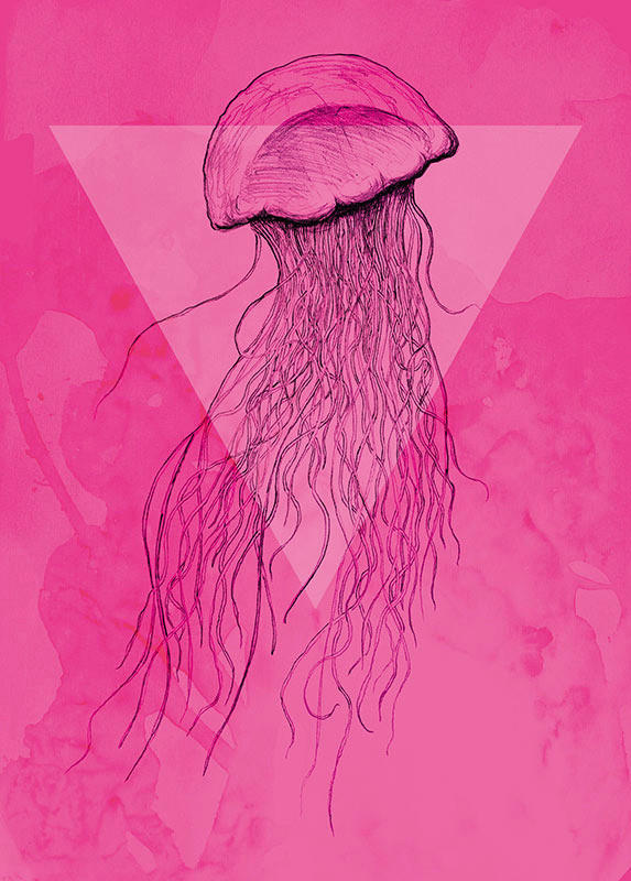 Komar Poster Jellyfish Pink Tiere B/L: ca. 50x70 cm günstig online kaufen