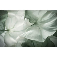 Keilrahmenbild Blumen Keilrahmenbild 140x90cm