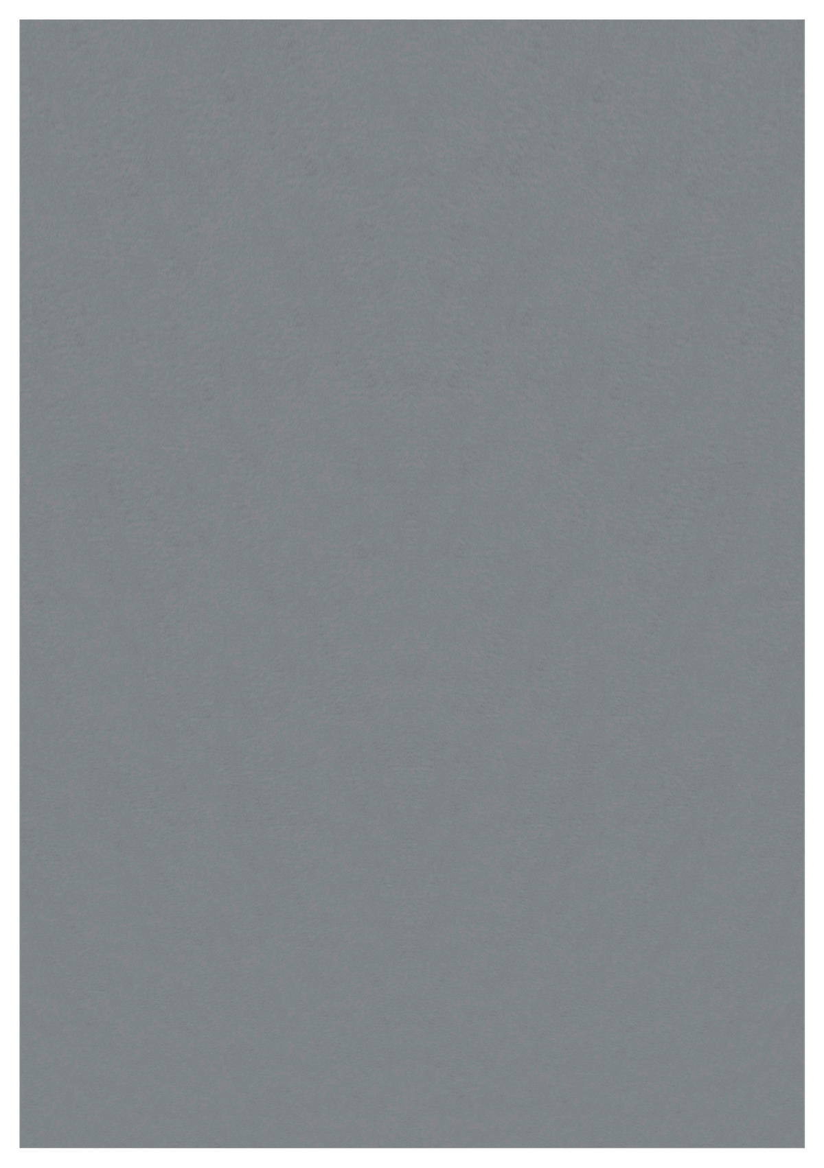 Ayyildiz Teppich SKY grau B/L: ca. 200x290 cm SKY - grau (200,00/290,00cm) - Ayyildiz