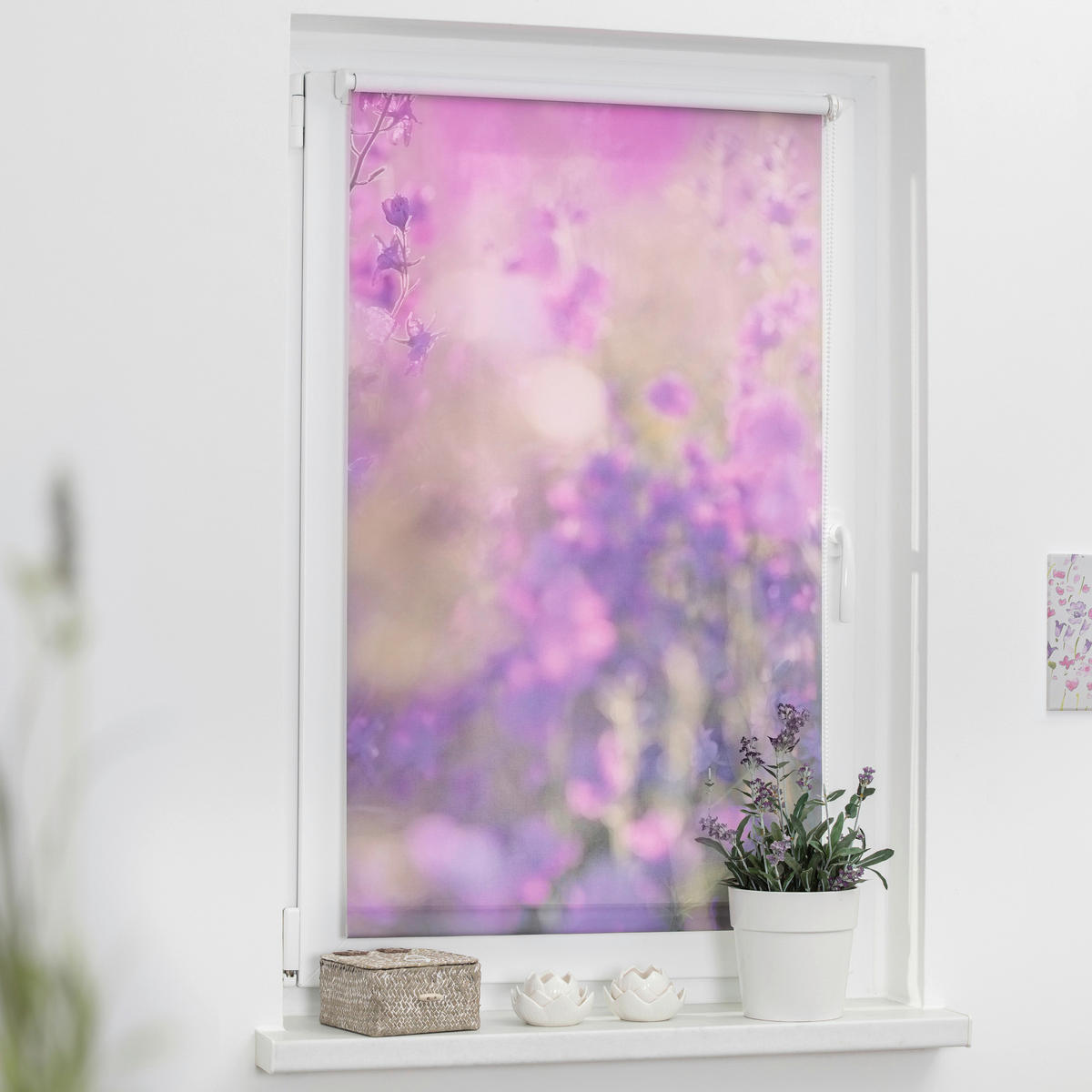 Verdunkelungsrollo Blumenwiese fuchsia B/L: ca. 60x150 cm Blumenwiese - fuchsia/violett (60,00/150,00cm) - LICHTBLICK