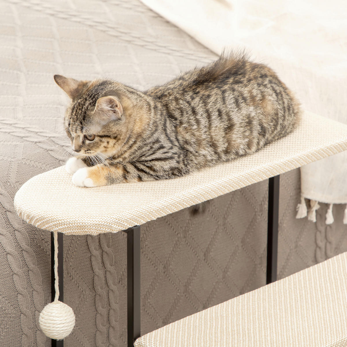 PawHut 3-stufige Haustiertreppe mit Kratzbrett schwarz Edelstahl B/H/L: ca. 54x51x53 cm Haustiertreppe - schwarz/cremeweiß (53,00/54,00/51,00cm) - PawHut