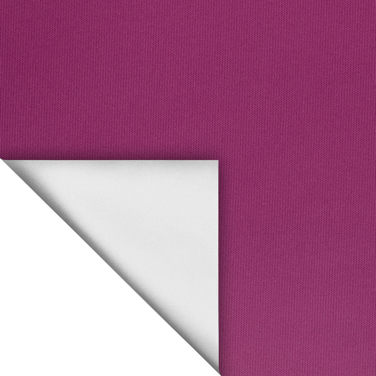 Thermo Klebe-/Klemmrollo Verdunklungsqualität fuchsia B/L: ca. 90x150 cm Rollo_Thermo_VD_Klemmfix - fuchsia (90,00/150,00cm) - LICHTBLICK
