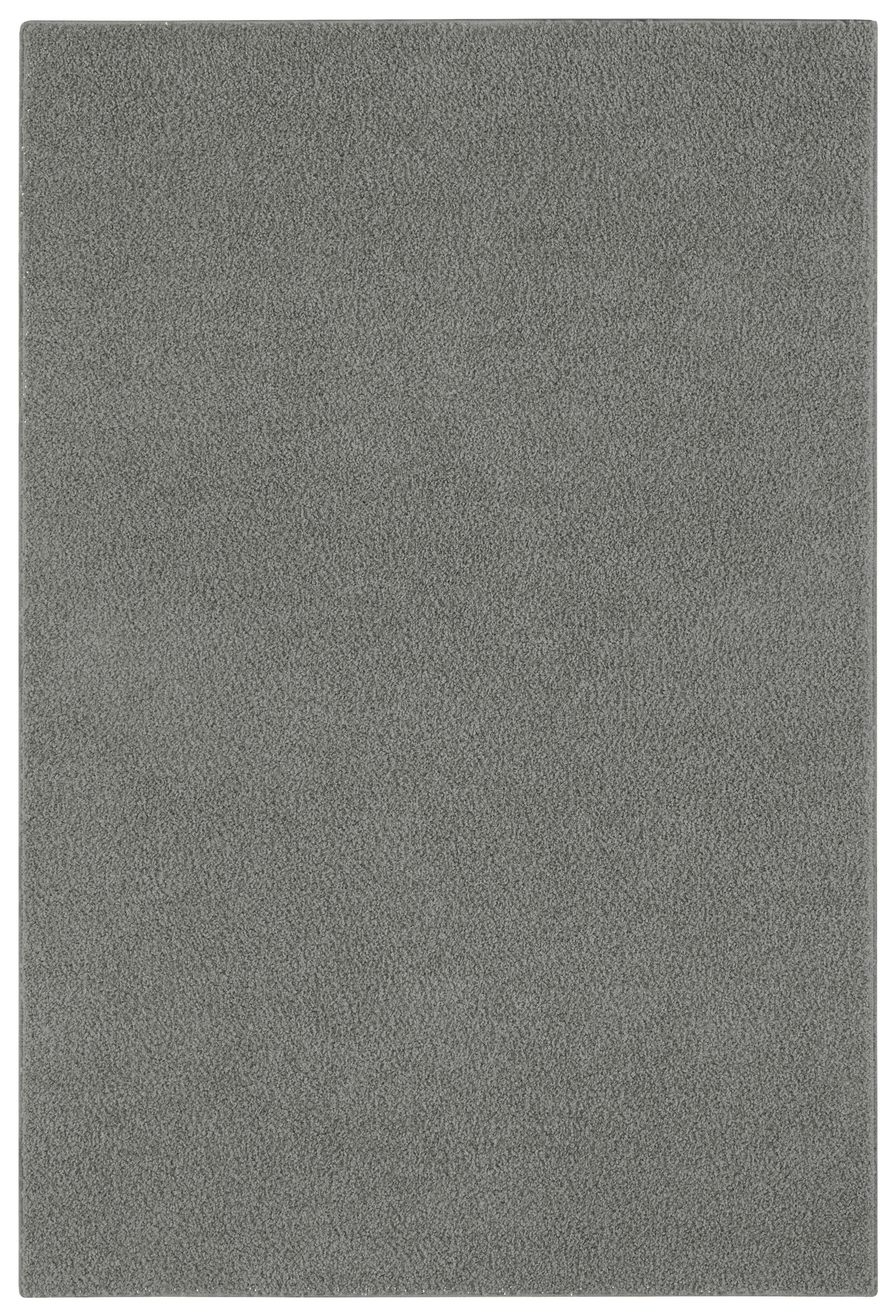 Langflorteppich Softissimo grau B/L: ca. 57x120 cm Softissimo - grau (57,00/120,00cm)