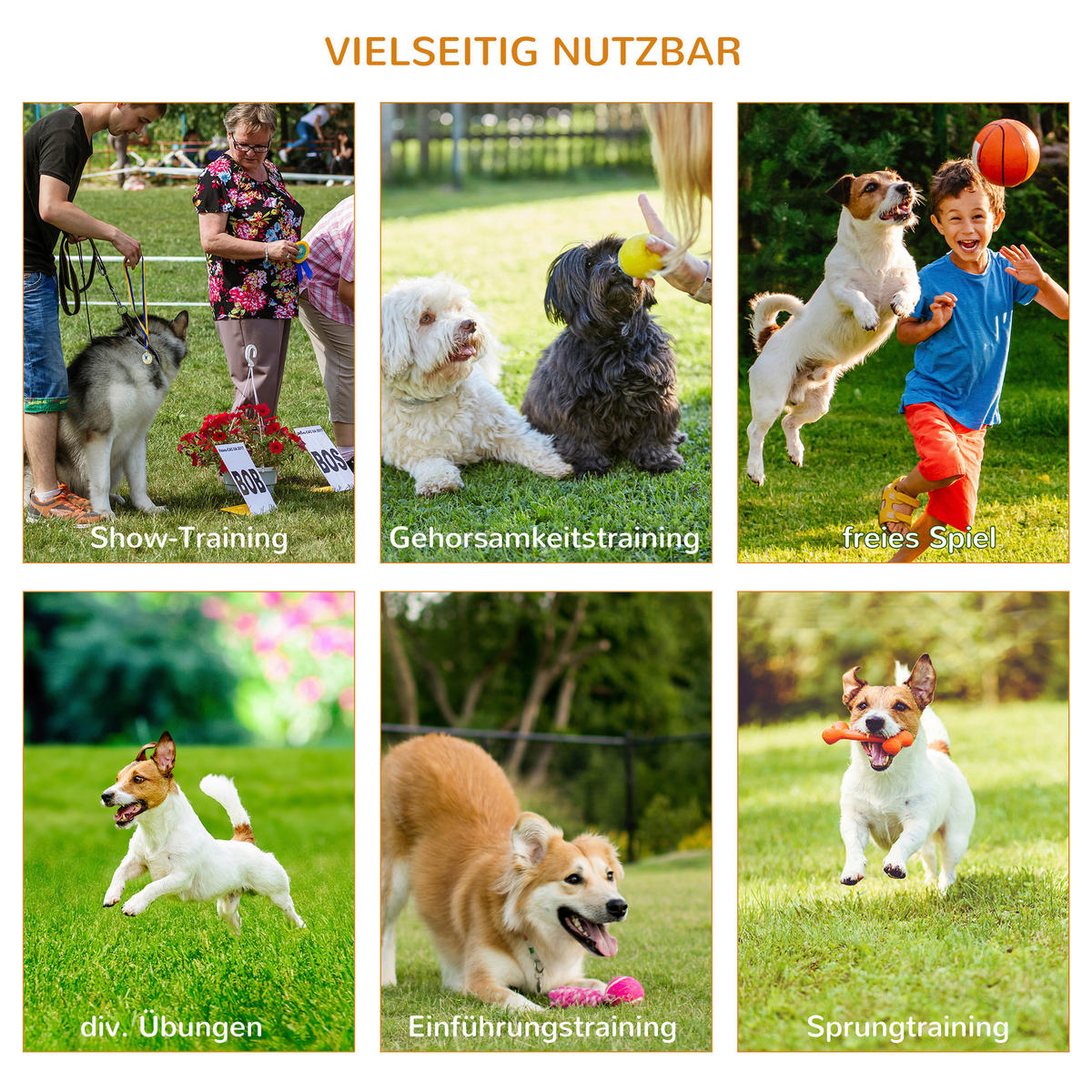 PawHut Outdoor-Aktivitäten gelb Polypropylen B/H/L: ca. 67x323x94,5 cm Agility-Ausrüstung - weiß/gelb (94,50/67,00/323,00cm) - PawHut