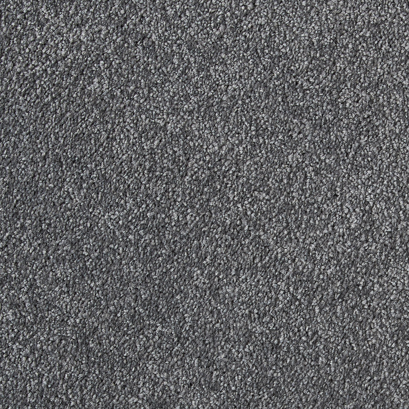 Teppichboden Lazio grau B: ca. 500 cm pro m² Lazio - grau (500,00cm)