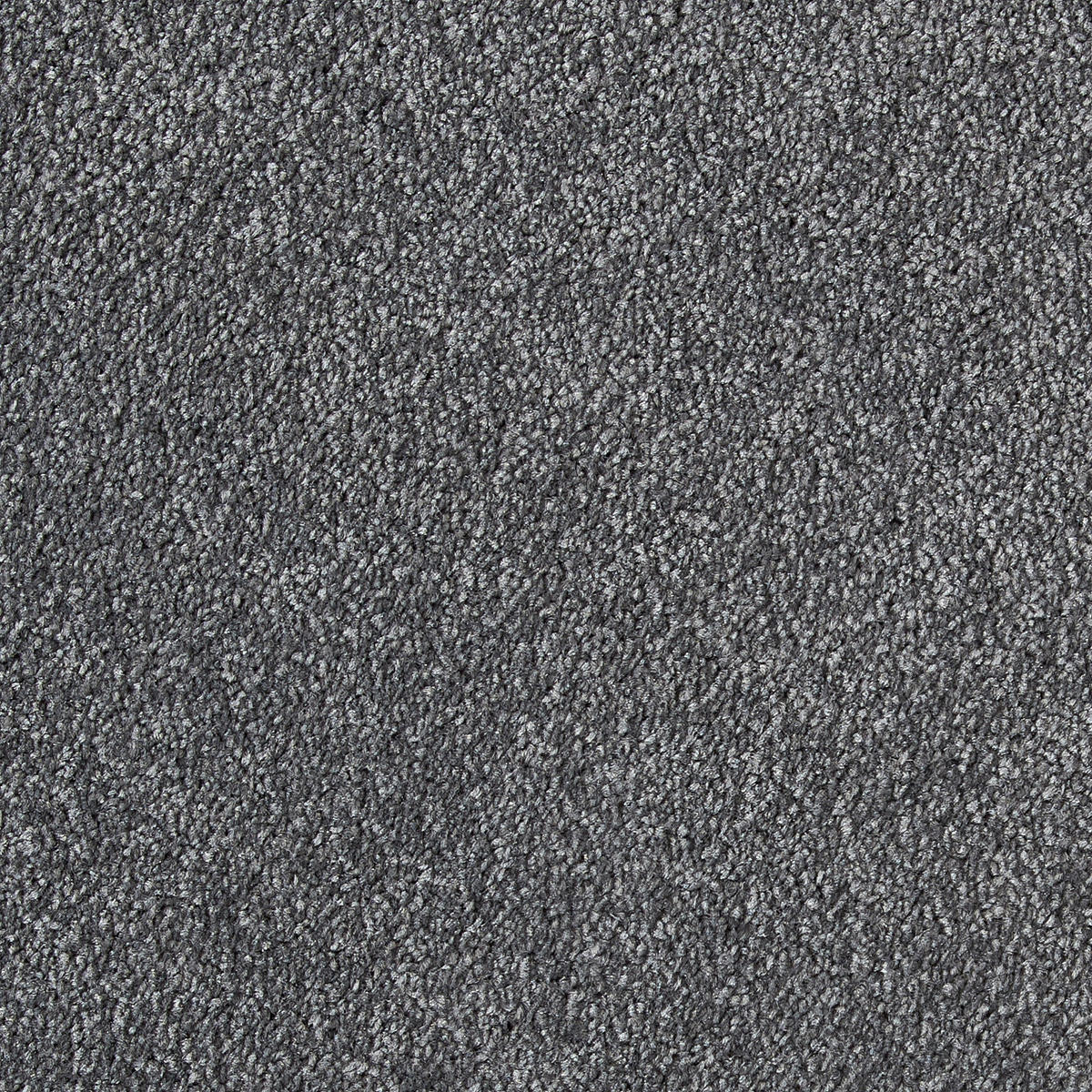 Teppichboden Lazio grau B: ca. 400 cm pro m² Lazio - grau (400,00cm)