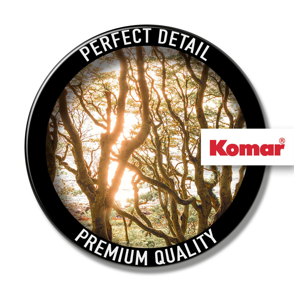 Komar Fototapete Bold Birch B/L: ca. 400x250 cm Bold Birch - (400,00/250,00cm) - Komar