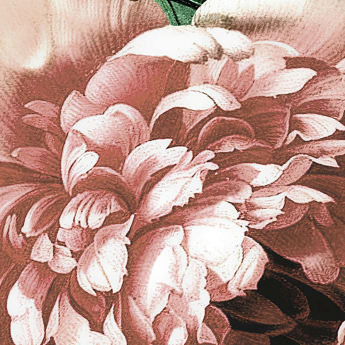 Komar Fototapete Flower Couture D: ca. 125 cm Flower Couture - (125,00cm) - Komar