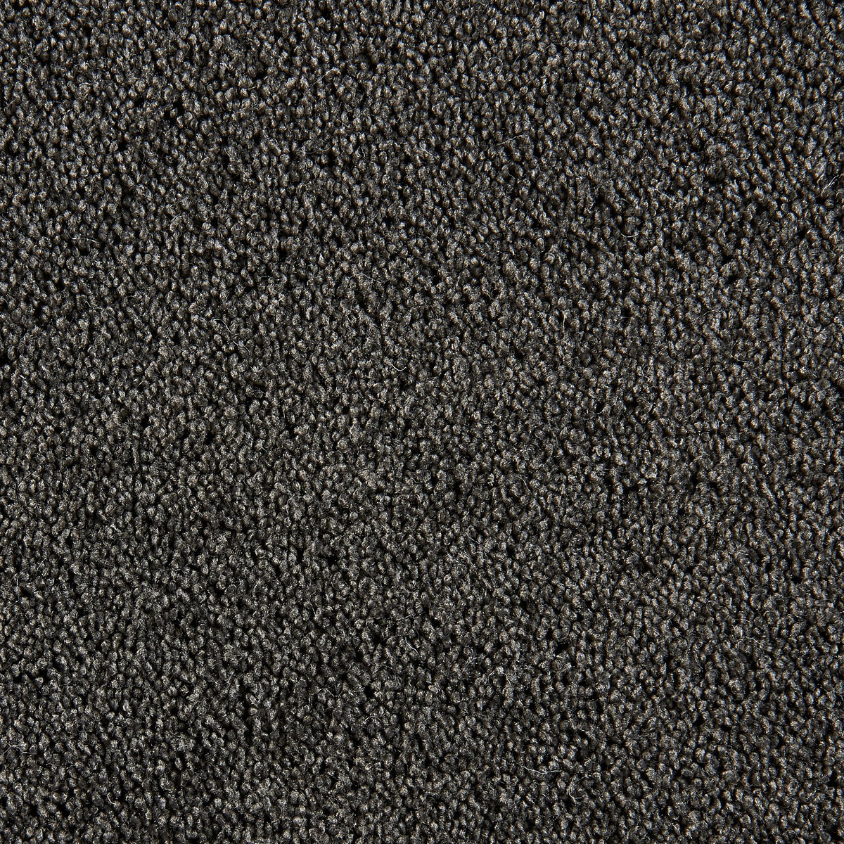 Teppichboden Focus schwarz B: ca. 400 cm pro m² Focus - schwarz (400,00cm)