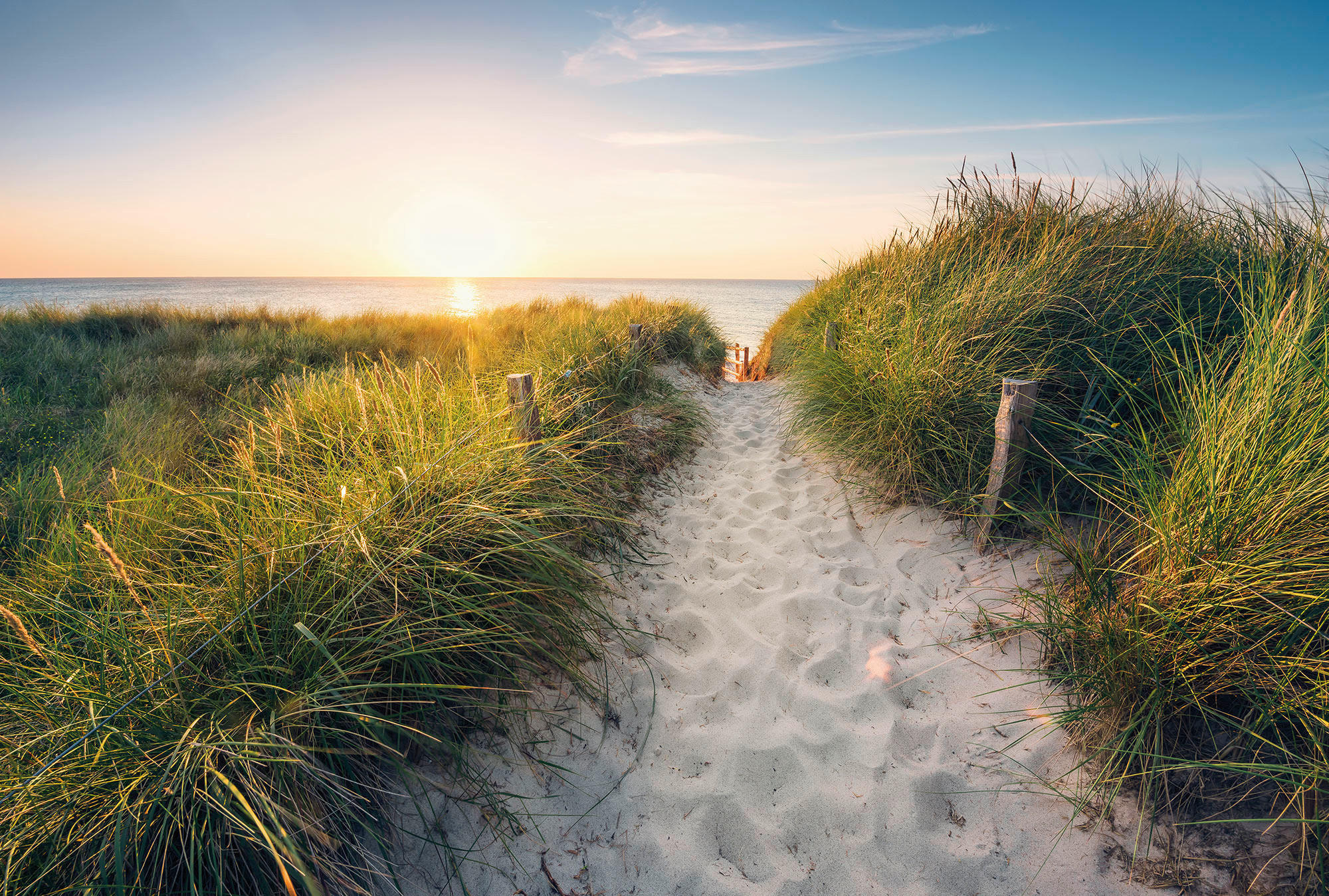 Komar Fototapete Way to the Beach Strand B/L: ca. 368x248 cm