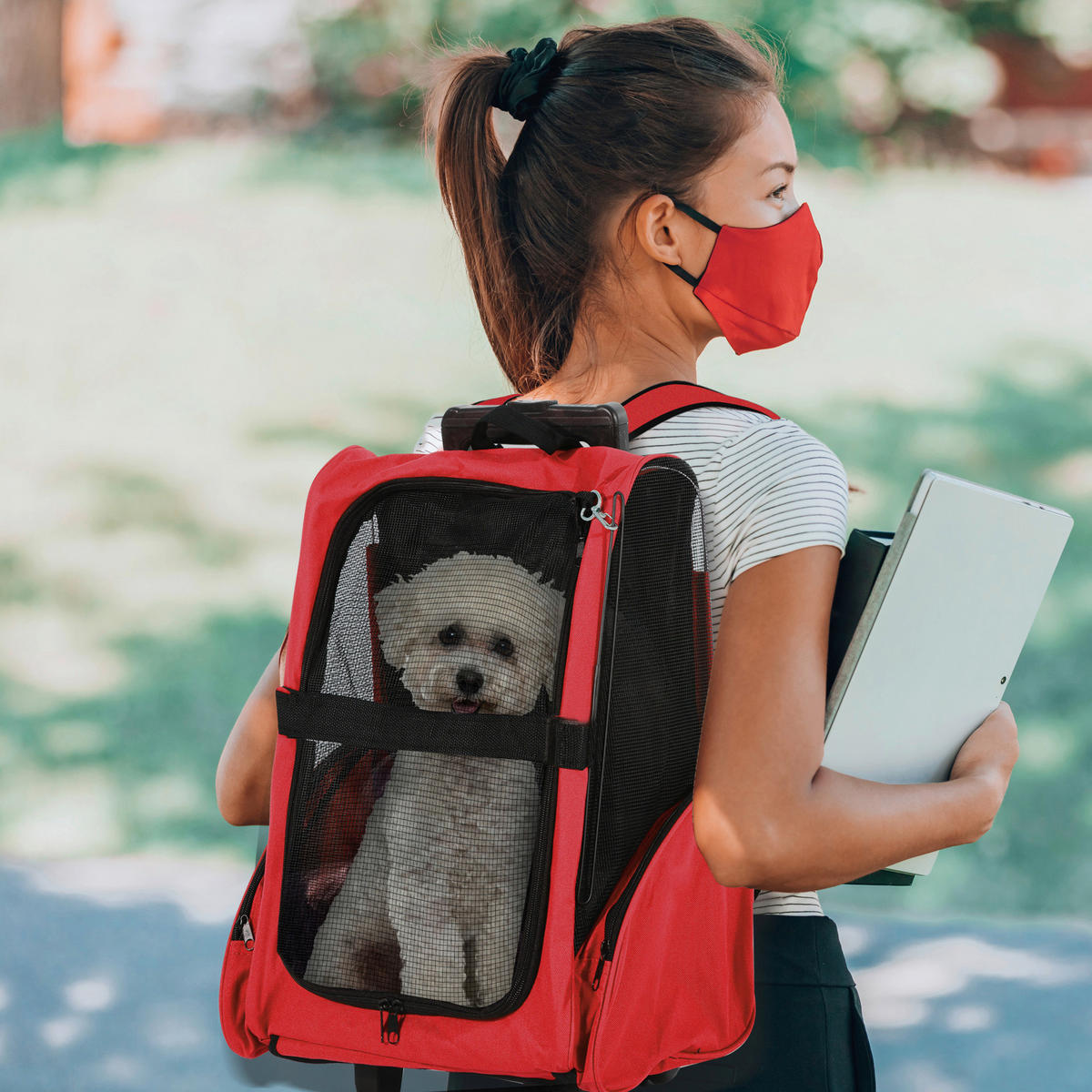 PawHut Hunde-Zubehör schwarz Polyester B/H/L: ca. 25x42x55 cm Tragetasche - rot/schwarz (55,00/25,00/42,00cm) - PawHut