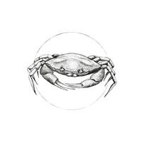 Komar Poster Crab White Tiere B/L: ca. 40x50 cm Crab White - (40,00/50,00cm) - Komar