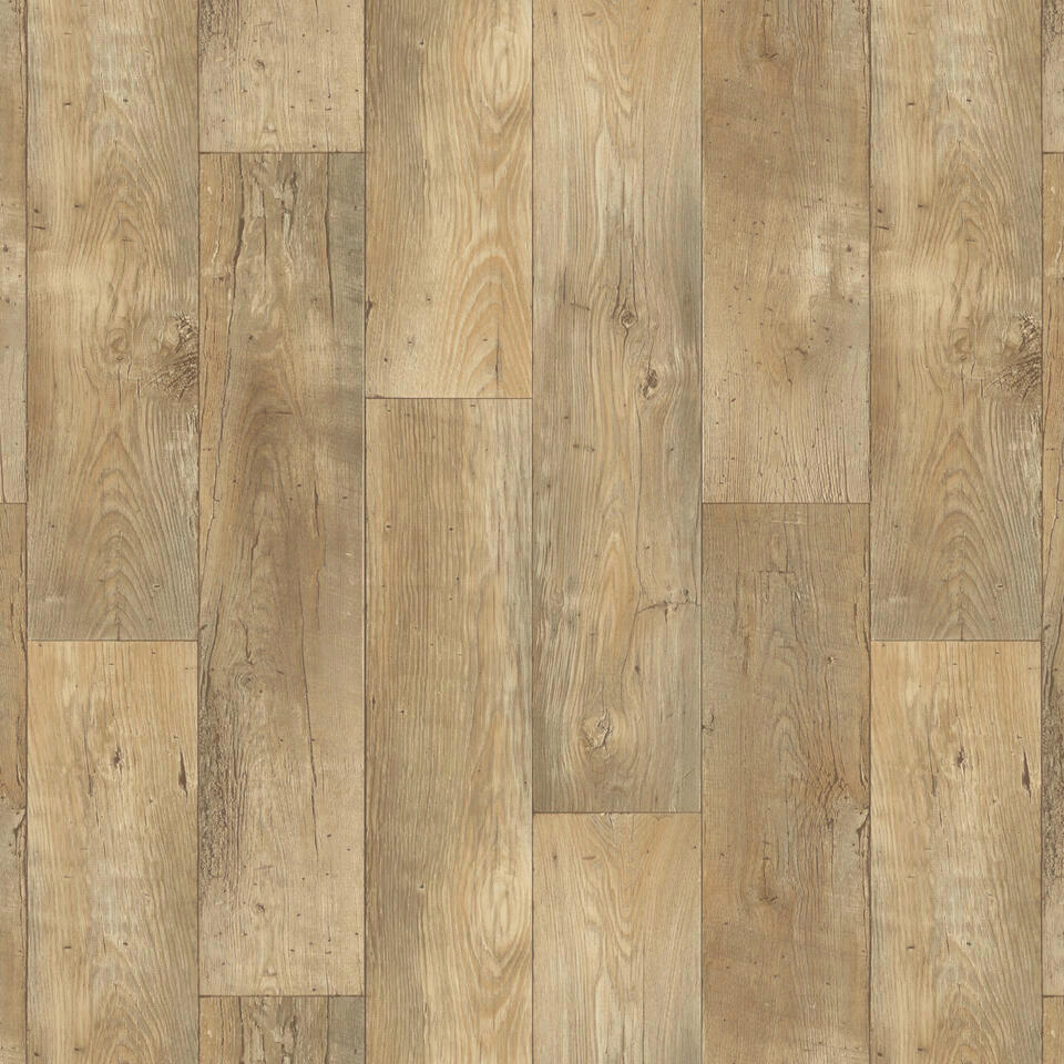 Vinylboden Iconik dunkelbeige Eiche B: ca. 400 cm pro m² Iconik - dunkelbeige (400,00cm)
