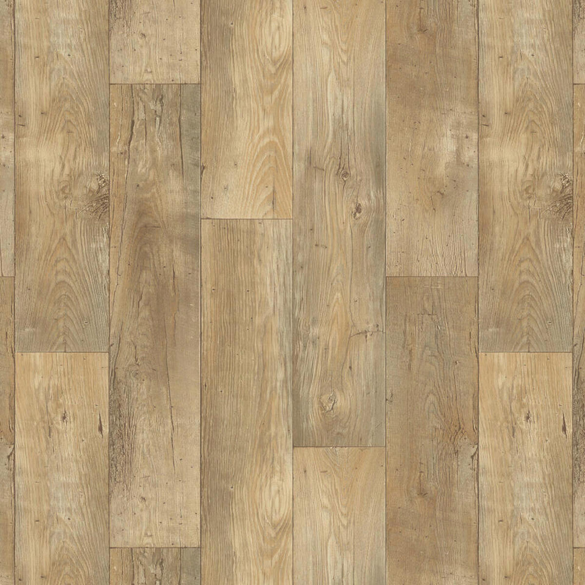 Vinylboden Iconik dunkelbeige Eiche B: ca. 400 cm pro m² Iconik - dunkelbeige (400,00cm)