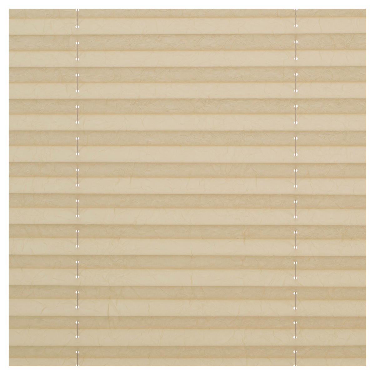 LICHTBLICK Spannplissee creme B/L: ca. 50x130 cm Plissee_Klemmfix - creme (50,00/130,00cm) - LICHTBLICK