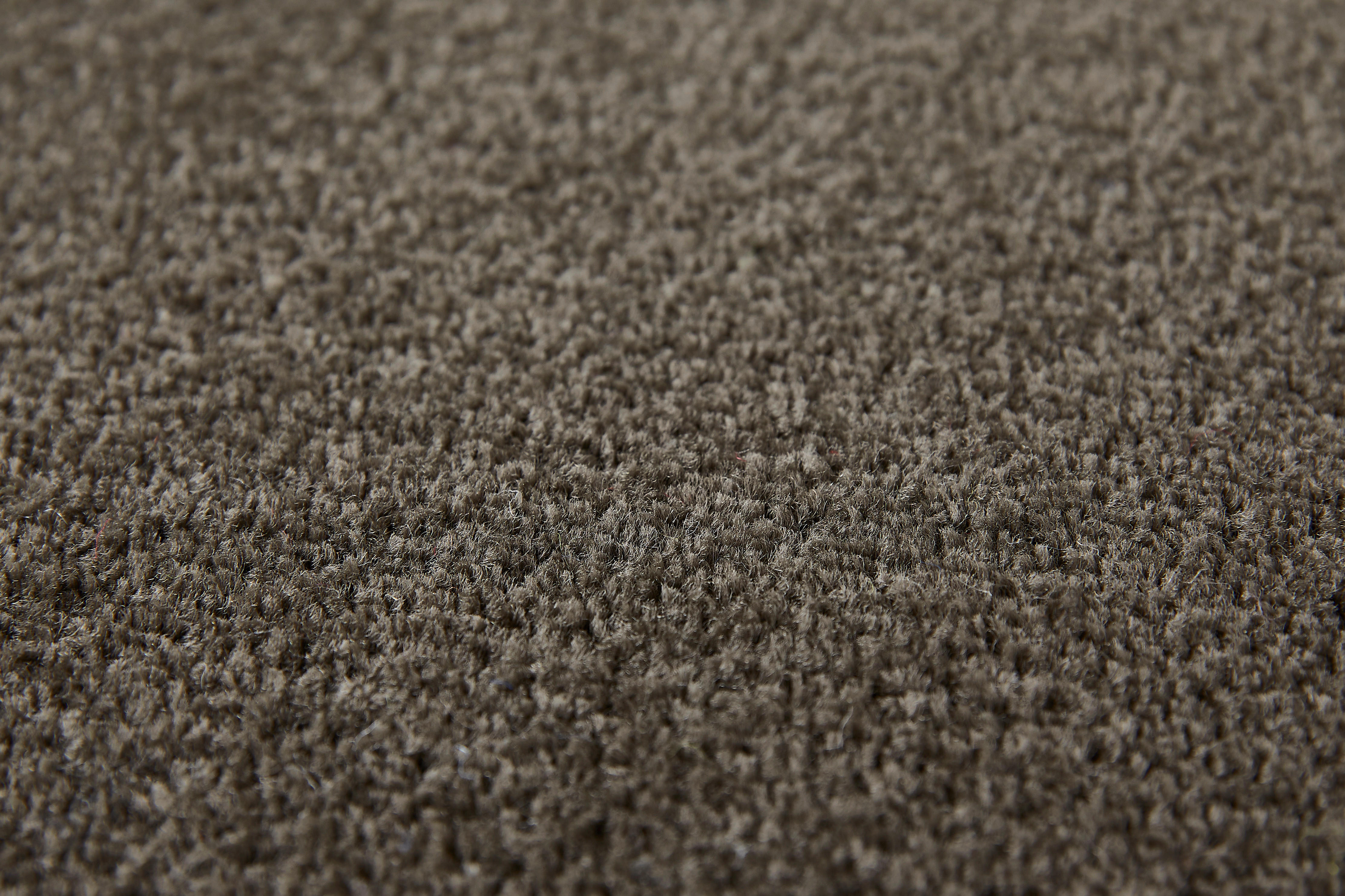 Teppichboden Sara braungrau B/L: ca. 200x400 cm pro Stück Sara - braungrau (200,00/400,00cm)