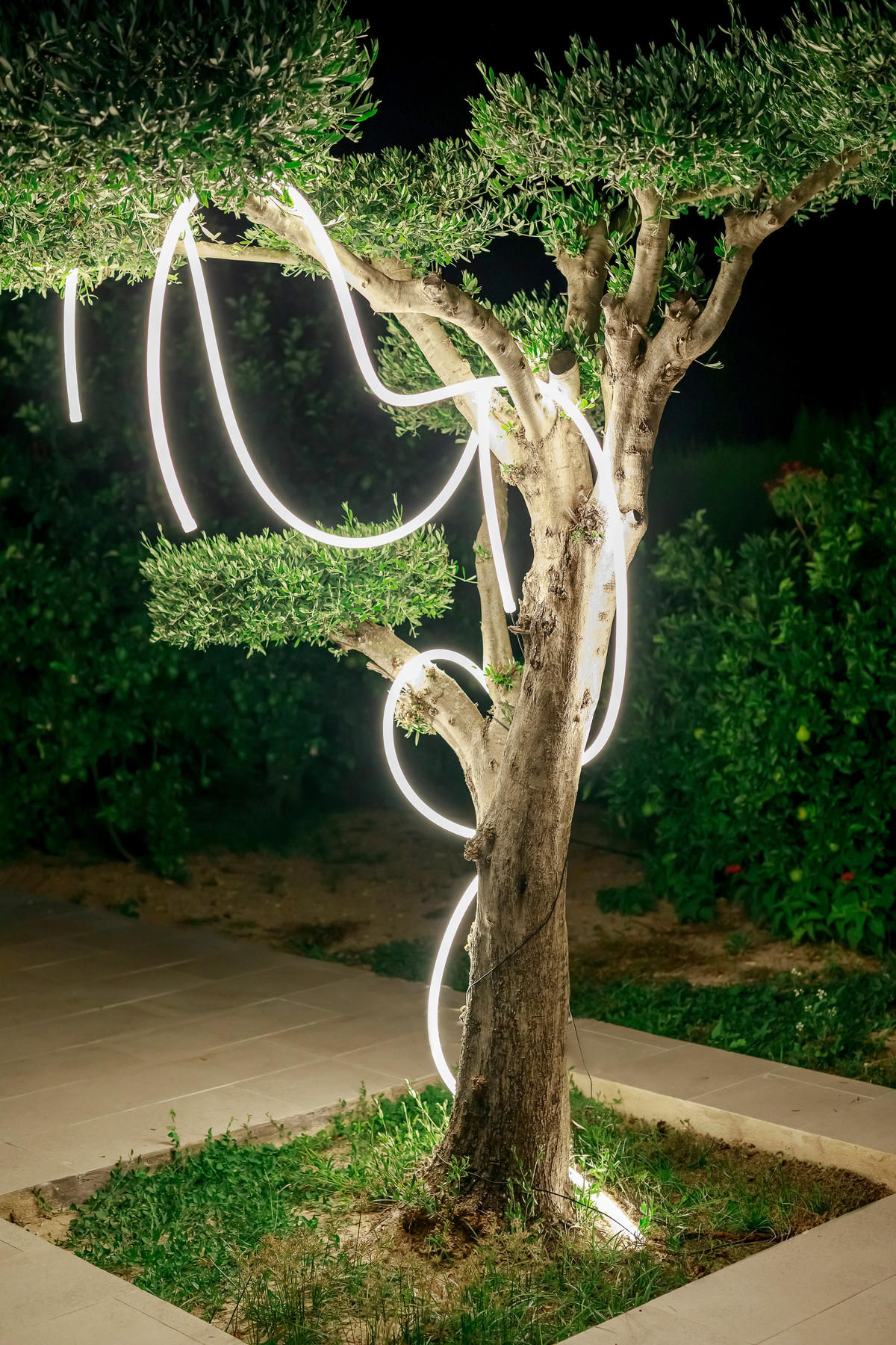 NewGarden LED-Lichterkette NEO weiß B/H/L: ca. 3x3x700 cm NEO - weiß (700,00/3,00/3,00cm) - NewGarden