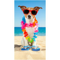Strandtuch Buddy Multi Polyester B/L: ca. 75x150 cm Buddy - Multi (75,00/150,00cm) - Good Morning
