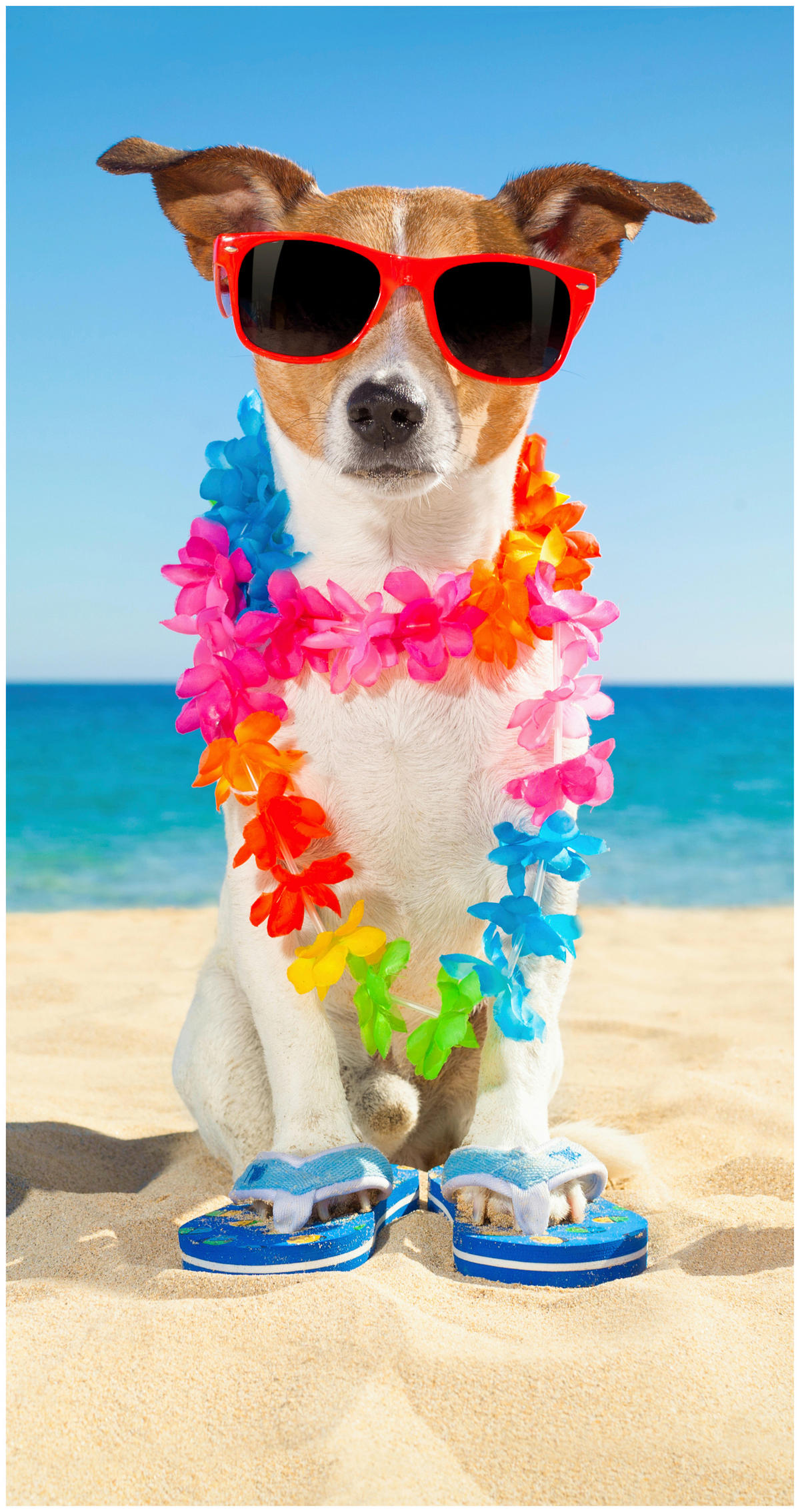 Strandtuch Buddy Multi Polyester B/L: ca. 75x150 cm Buddy - Multi (75,00/150,00cm) - Good Morning