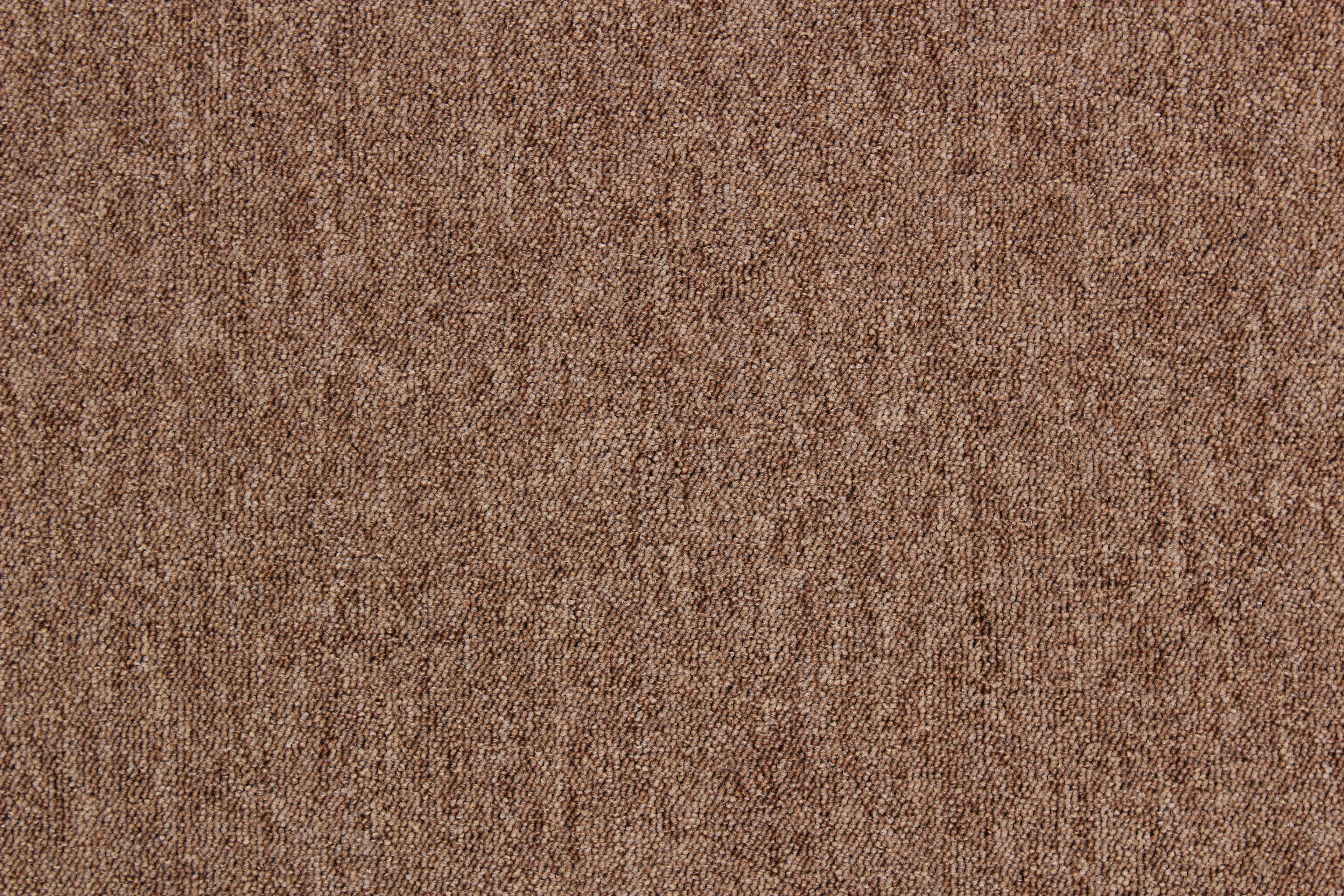 Teppichfliese Sierra hellbraun B/L: ca. 50x50 cm pro Stück Sierra - hellbraun (50,00/50,00cm)