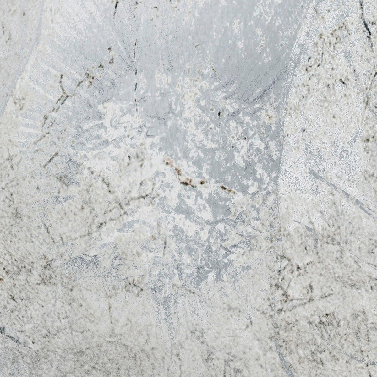 Komar Fototapete Flower Fossil B/L: ca. 200x280 cm Flower Fossil - (200,00/280,00cm) - Komar