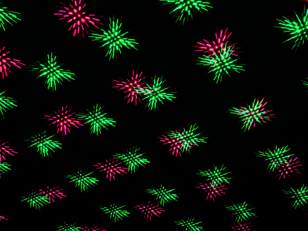 LED-Laser Erdspieß mit LED 5200861 H/D: ca. 40x10 cm LED Laser Erdspieß mit LED - (10,00/40,00cm) - Näve Leuchten