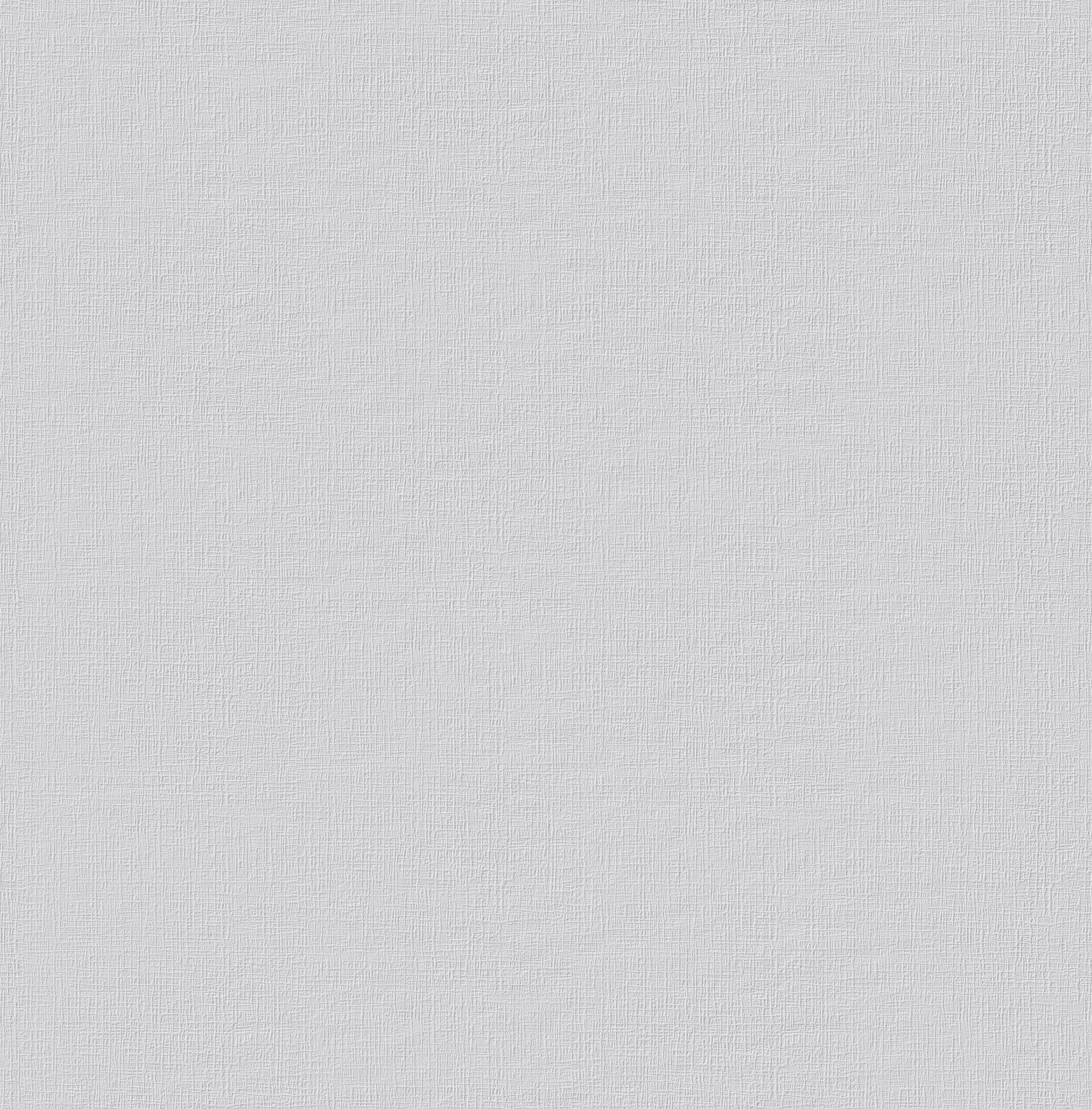 Erfurt Vliestapete Basic Basic weiß B/L: ca. 53x1005 cm Basic - weiß (53,00/1005,00cm) - Erfurt