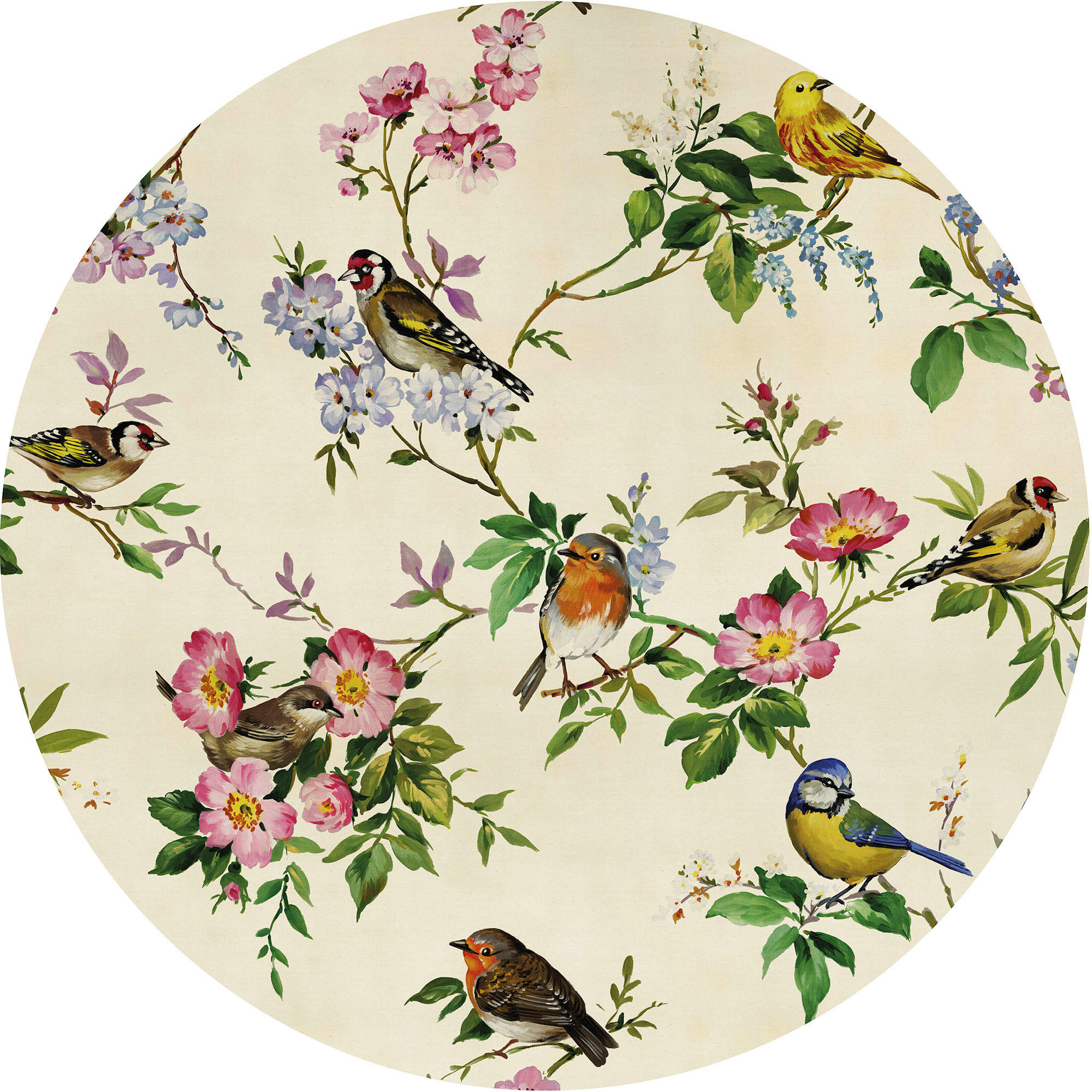 Komar Fototapete Bird Party D: ca. 125 cm Bird Party - (125,00cm) - Komar
