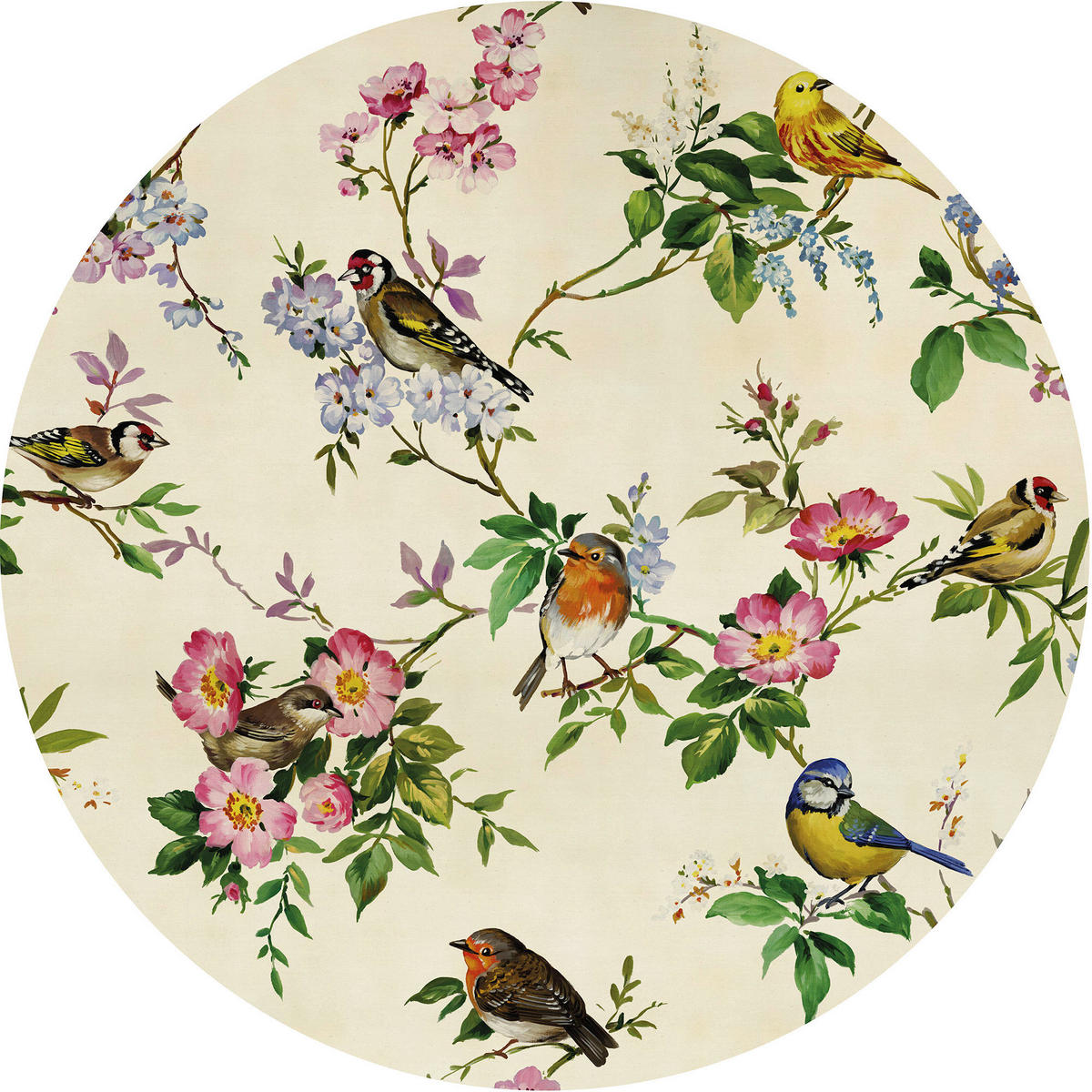 Komar Fototapete Bird Party D: ca. 125 cm Bird Party - (125,00cm) - Komar