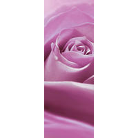 Komar Fototapete Pink Rose B/L: ca. 100x280 cm Pink Rose - (100,00/280,00cm) - Komar