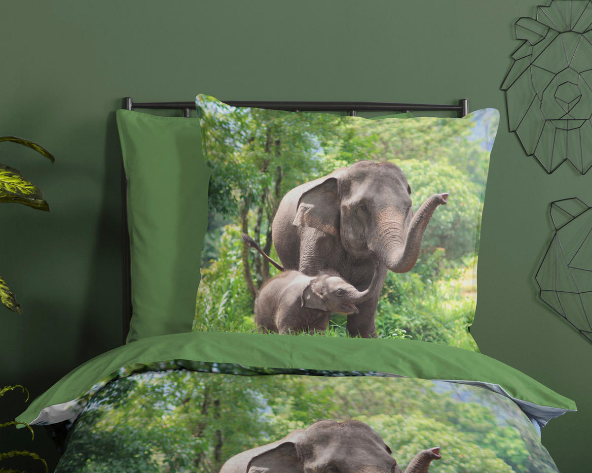 Bettwäsche Elephants grün Baumwolle B/L: ca. 135x200 cm Elephants - grün (135,00/200,00cm) - Good Morning
