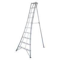Niwaki Gartenleiter 3-Holm 3-Holm silber B/H: ca. 147x300 cm 3-Holm - silber (147,00/300,00cm) - Niwaki