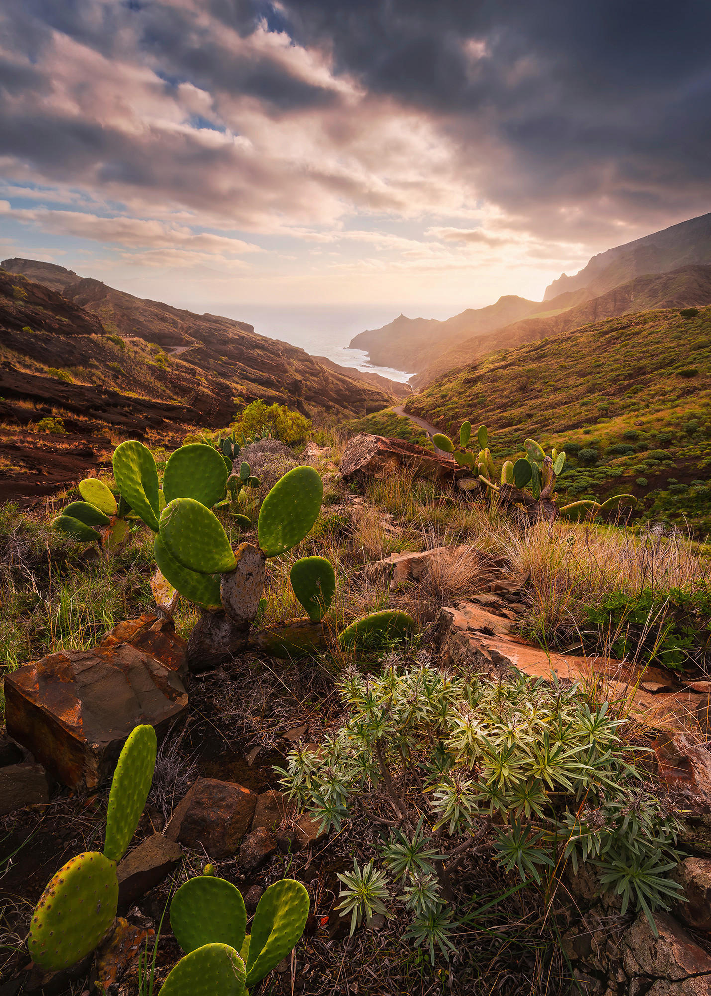 Komar Fototapete Warmes Licht B/L: ca. 200x280 cm Warmes Licht - (200,00/280,00cm) - Komar