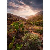 Komar Fototapete Warmes Licht B/L: ca. 200x280 cm Warmes Licht - (200,00/280,00cm) - Komar