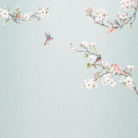 Komar Fototapete Apple Bloom B/L: ca. 250x250 cm Apple Bloom - (250,00/250,00cm) - Komar
